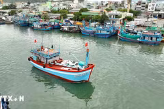 Vinh Long currently has 4,628 registered fishing vessels, 4,450 of which are licenced for fishing, accounting for 96.2%. (Illustrative image: VNA)