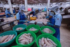 Seafood processing for export at a Vietnamese facility. (Photo: VietnamPlus)