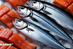 Illustrative image (Source: VNA)