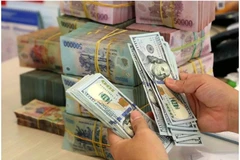 The State Bank of Vietnam set the daily reference exchange rate for the US dollar at 24,308 VND/USD on December 24 (Photo: VNA)