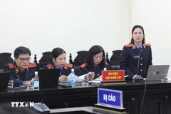 A representative of the procuracy at the trial (Photo: VNA)
