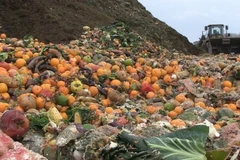 Indonesia in need of solutions to food loss and waste problem