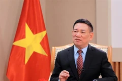 Deputy Prime Minister Ho Duc Phoc (Photo: VNA)