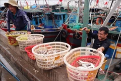 Ngoc Hai fishing port in Hai Phong city (Photo: VNA)