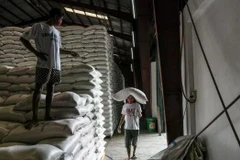 Philippines declares food security emergency for rice