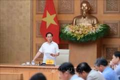 Deputy Prime Minister Bui Thanh Son speaks at the conference on September 11. (Photo: VNA)