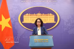 Spokesperson for the Ministry of Foreign Affairs (MoFA) Pham Thu Hang speaks at the ministry’s regular press briefing on May 14 (Photo: VNA)