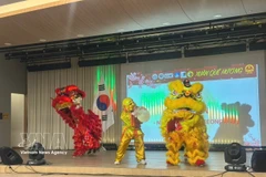 A lion dance performance by the Hwaseong Lion Dance troupe at the programme. (Photo: VNA)