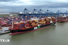 Import and export goods from a port of Vietnam (Photo: VNA).