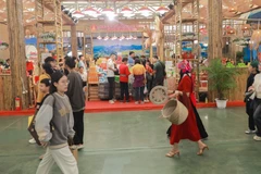 Illustrative image (Source: VNA)