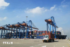 Container trucks operate at the Gemalink International Port in the Cai Mep Seaport Complex in Ho Chi Minh City's Tan Phuoc ward. (Photo: VNA)
