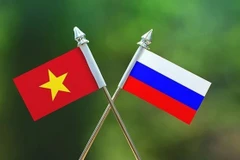 Vietnam, Russia explore cooperation opportunities in digital era