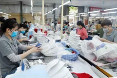 Producing shoes for export to the EU at Truong Xuan footwear company in Hanoi. (Photo: VNA)