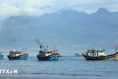 Raising public awareness about IUU fishing has been identified as a key task for the Hue city border guard force. (Photo: VNA)