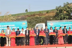 Delegates at the ceremony on February 12 which marks the transportation of strawberry grown in the northern province to serve on Vietnam Airlines flights. (Photo: VNA)