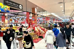 The strong development of the domestic market is an important base to maintain economic growth and stabilise production. (Photo: VietnamPlus)