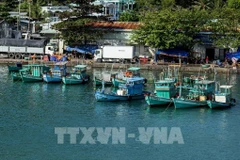 Fishing vessels moored at An Thoi port. (File photo: VNA)