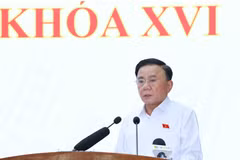 Politburo member and Permanent member of the Party Central Committee’s Secretariat Tran Cam Tu speaks at a meeting with voters in Da Nang city on May 5. (Photo: VNA)