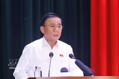 Politburo member and Permanent member of the Party Central Committee’s Secretariat Tran Cam Tu speaks at a meeting with voters in the central city of Da Nang (Photo: VNA)