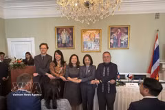 ASEAN ambassadors and representatives from the Danish Ministry of Foreign Affairs pose for a commemorative photo (Photo published by VNA)