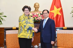 Deputy Prime Minister and Minister of Foreign Affairs Bui Thanh Son (right) and German Ambassador to Vietnam Helga Margarete in Hanoi on February 24 (Photo: Ministry of Foreign Affairs)