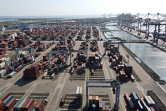 At Tan Cang - Cai Mep International Terminal (Photo: VNA)