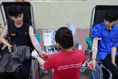 Young people donate blood at a voluntary blood donation event. (Photo: VNA)