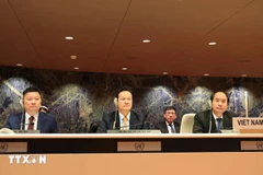 The Vietnamese delegation at the session for defending reports on the implementation of the United Nations Convention on the Rights of Persons with Disabilities (CRPD) at the UN headquarters in Geneva on March 6. (Photo: VNA)