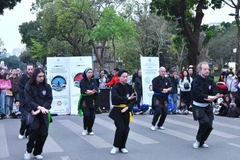Thuy Phap practitioners perform in Belgium (Photo: VietnamPlus)