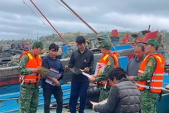 The Border Guard, in coordination with the Coast Guard, conduct an awareness campaign against IUU fishing at Bach Long Vy Port. (Photo: VNA)
