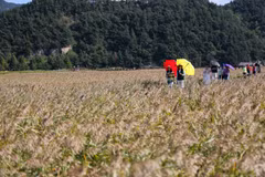 Tourists visit Suncheon Bay, the Republic of Korea. (Source: Xinhua/VNA) 