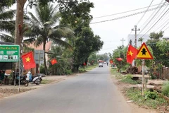 National flags hung along a road in Ea Tieu commune, Cu Kuin district, Dak Lak province (Photo: VNA)