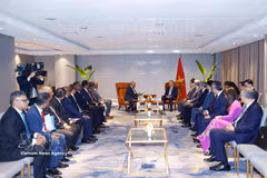 The meeting between General Secretary of the Communist Party of Vietnam Central Committee and State President To Lam and Chairman and Chief Executive Officer of Hayleys PLC Mohan Pandithage in Colombo on May 8 (Photo: VNA)