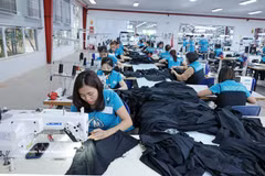 Modern machinery improves labour productivity. (Photo: VNA)