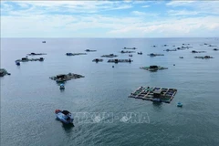 Model of farming in cages in Ninh Thuan. (Photo: VNA)