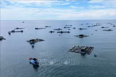 Model of farming in cages in Ninh Thuan. (Photo: VNA)
