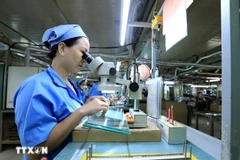 Illustrative image (Photo: VNA)