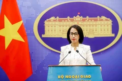 Vietnam steps up efforts to combat illegal fishing