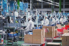 Vietnam is expected to have 2 million businesses by 2030. (Photo: VNA)