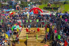 Sinh Village Wrestling Festival draws visitors on the 10th day of the first lunar month (Photo: VNA)