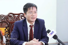 Commercial Counsellor Do Viet Phuong, Head of the Vietnam Trade Office in Cambodia. (Photo: VNA)