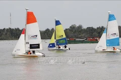 Sailing teams compete on the Hau River. (Photo: VNA)