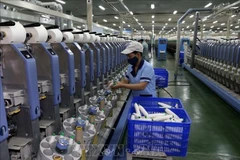 2025 has been a year of strong momentum for Vietnam’s recovery, according to OECD. (Illustrative photo: VNA)