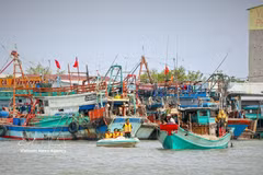 Authorities visit each fishing vessel to conduct communication activities aimed at raising fishermen’s awareness on efforts to have the EC's "yellow card” lifted. (Photo: VNA) 