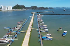 Tourist boats anchored at Ha Long International Cruise Port in Quang Ninh province. (Photo: VNA) 