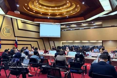 An overview of the 24th ASEAN-Russia Joint Cooperation Committee Meeting in Jakarta (Photo published by VNA)