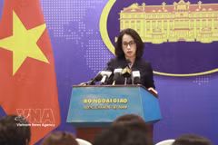 Spokesperson of the Ministry of Foreign Affairs Pham Thu Hang (Photo: VNA)