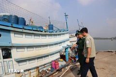 Local officials are checking a fishing vessel in Cat Lo port (Photo: VNA)