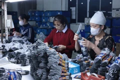 With a population exceeding 100 million and a rapidly expanding middle class, Vietnam is regarded as a highly promising market for fashion, footwear and apparel. (Photo: VNA)