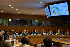 Deputy Minister of Foreign Affairs Le Thi Thu Hang, head of the Vietnamese delegation to the 11th NPT Review Conference, addresses the roundtable discussion on April 29. (Photo published by VNA)
